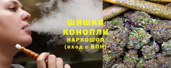спайс Алзамай