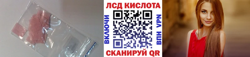 дарк нет как зайти  Светлоград  Лсд 25 экстази кислота 