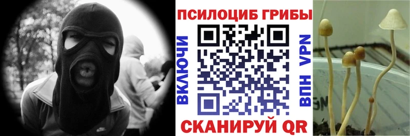 где продают   ОМГ ОМГ сайт  Галлюциногенные грибы прущие грибы  Светлоград 